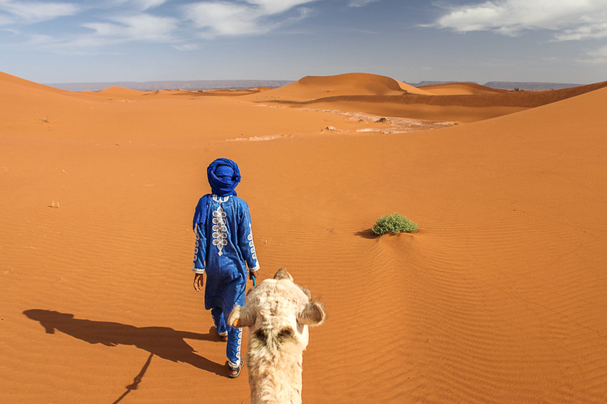 A guide in a blue robe leading a pale camel down a large orange dune