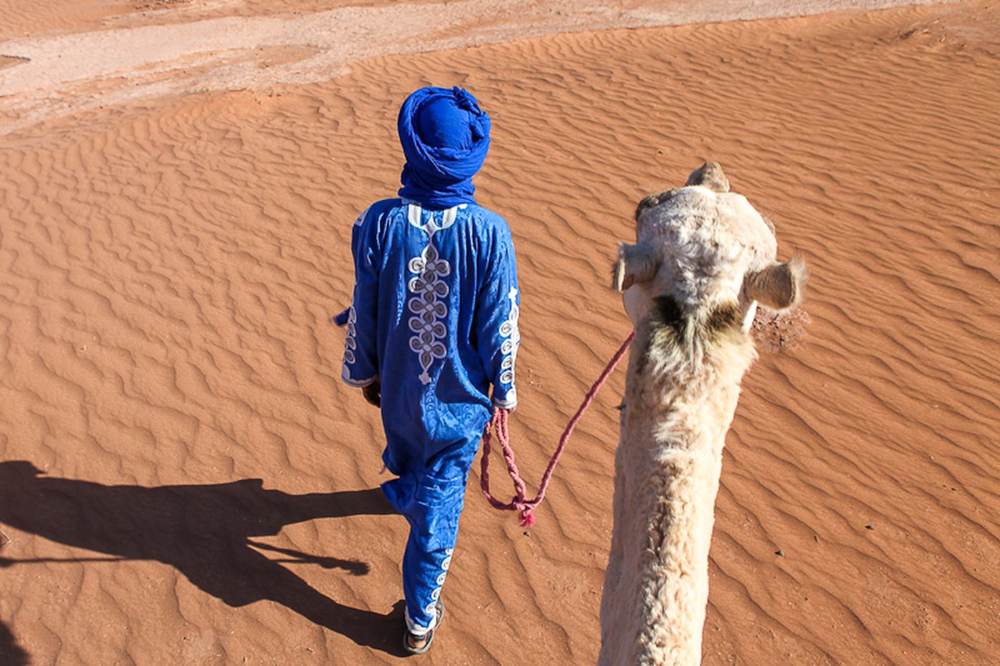 A guide walking across the sand leading a camel